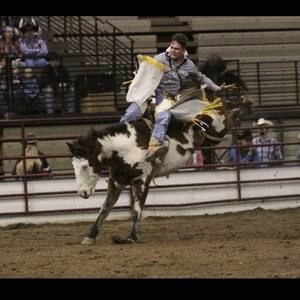 Meet your Posher, Peter